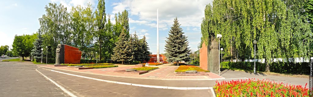 Memorial, Острогожск