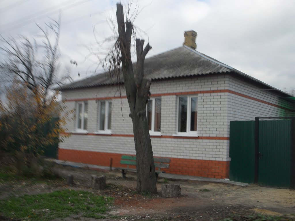 Дом в Острогожске..., Острогожск