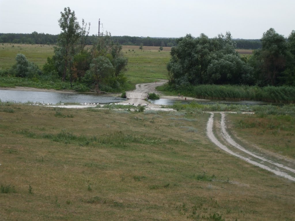 Мост через речку Толучеевка, Петропавловка