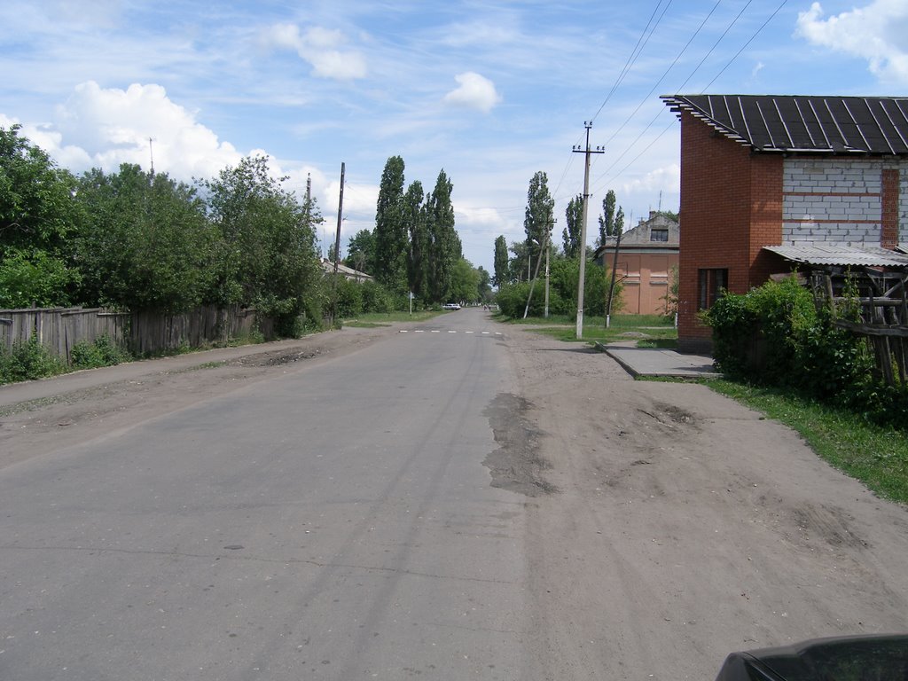 Переулок Школьный, Поворино