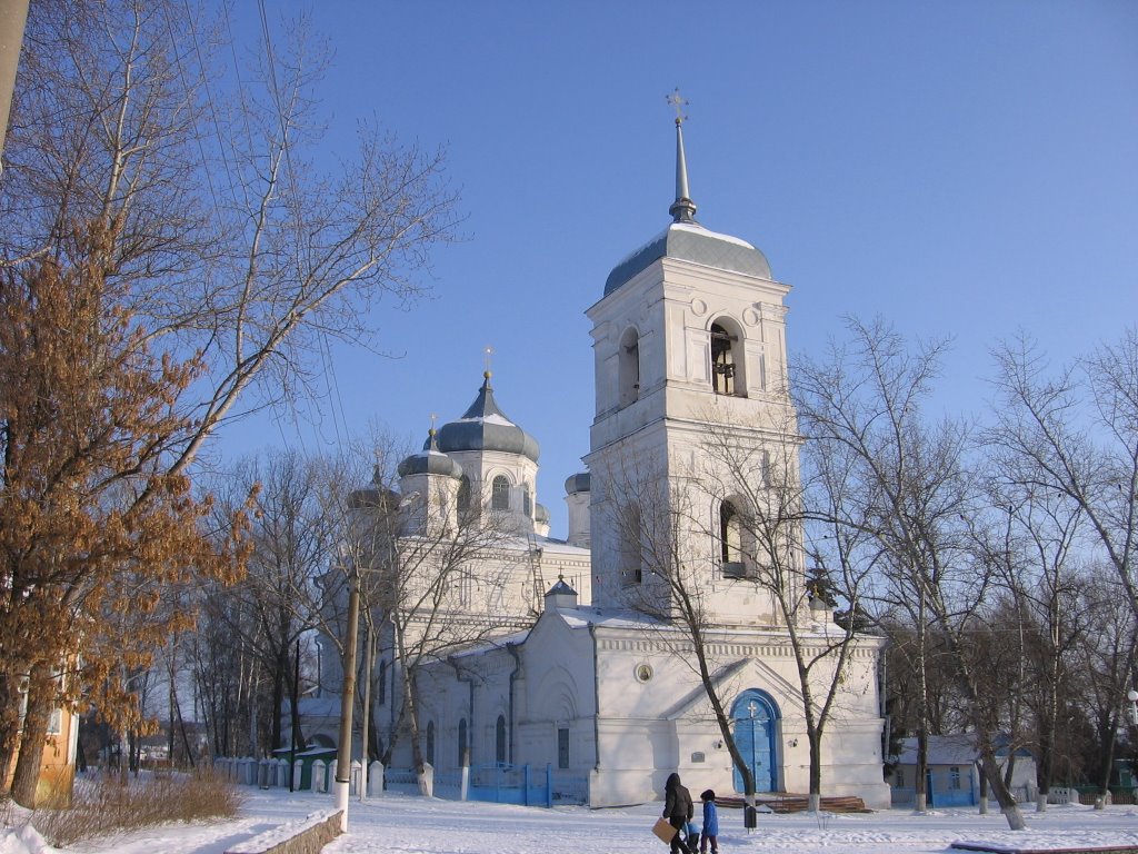 Церковь св. апостолов Петра и Павла 1877г., Репьевка