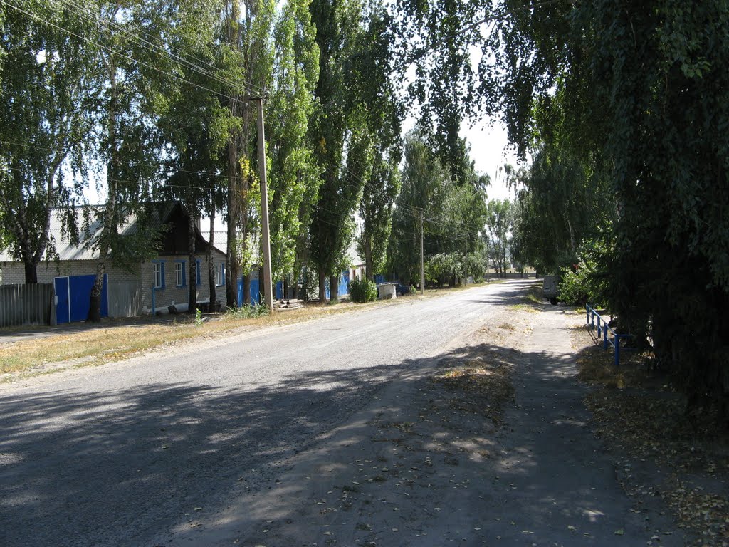 Rural street     . Улица село Репьевка, Репьевка