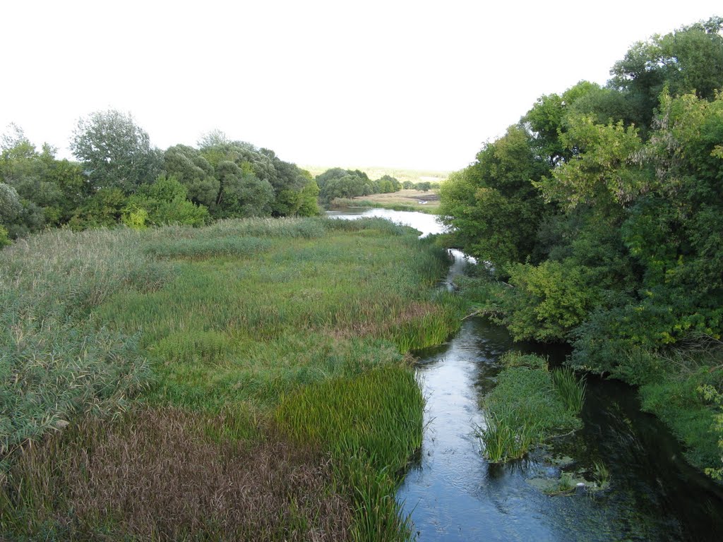 Река Потудань .     river Potudan, Репьевка