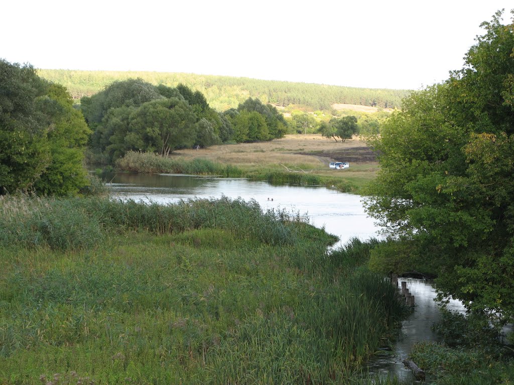 Река Потудань . river Potudan, Репьевка