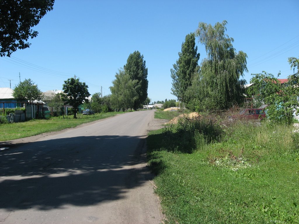 Улица Кирова ( 8 июля 2008г.), Таловая