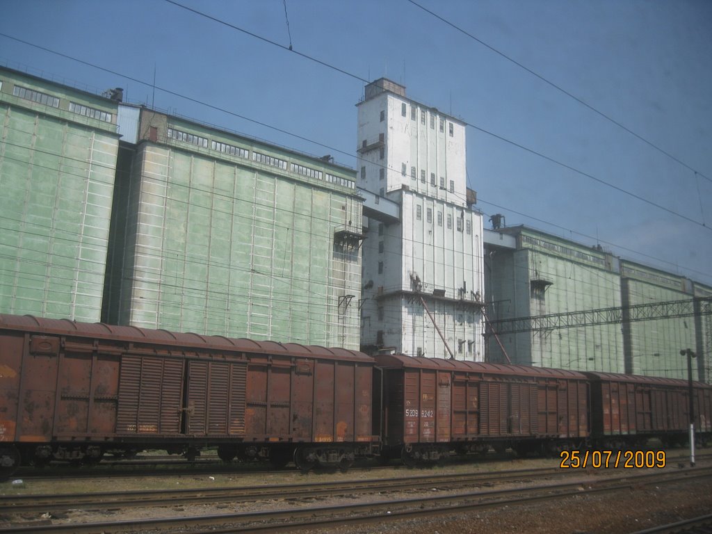 Grain elevator, Таловая