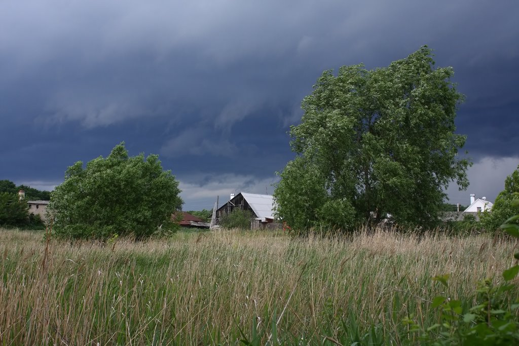 Thundercloud    Грозовая туча, Терновка