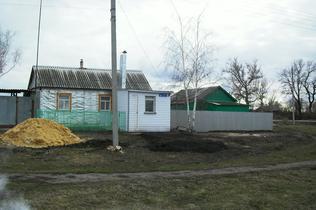 Дом в Дмитриевке рядом с магазином..., Хохольский