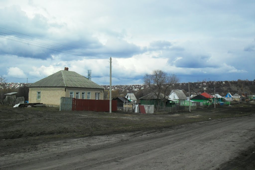 Домики села..., Хохольский
