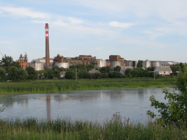 Сахарный завод, Эртиль
