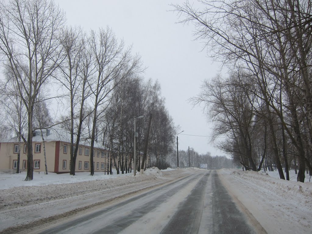 Street in Ardatov, Ардатов