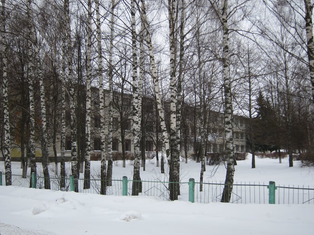 School, Ардатов