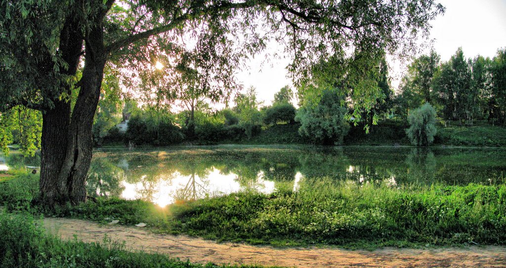 Смирновский пруд и дерево, Арзамас