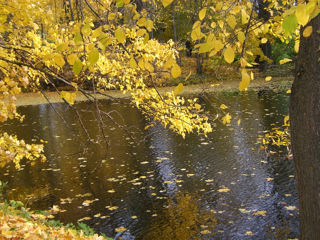 Осенний пруд.  Большое Болдино, Большое Болдино