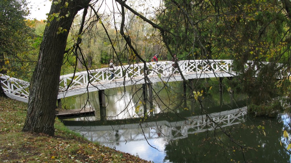 Горбатый мостик на Верхнем пруде в усадьбе Пушкиных, Большое Болдино