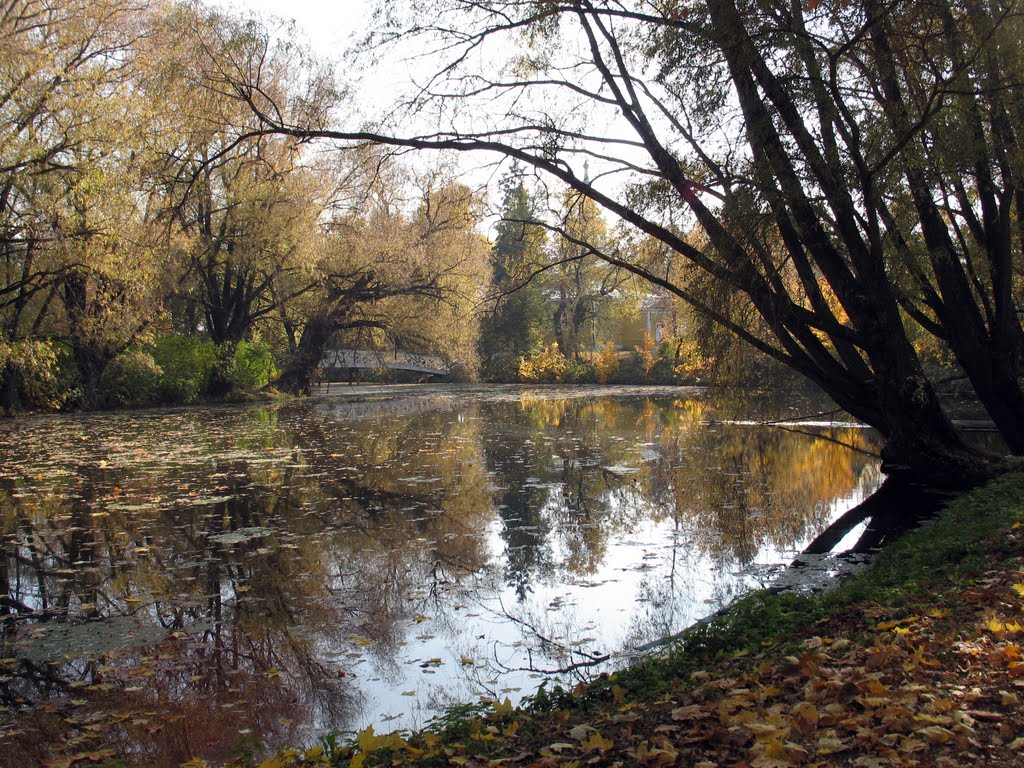 2005-10 Болдинская осень, Большое Болдино