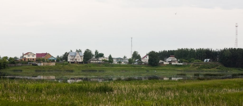 Посёлок на берегу (2010.06.08), Большое Козино