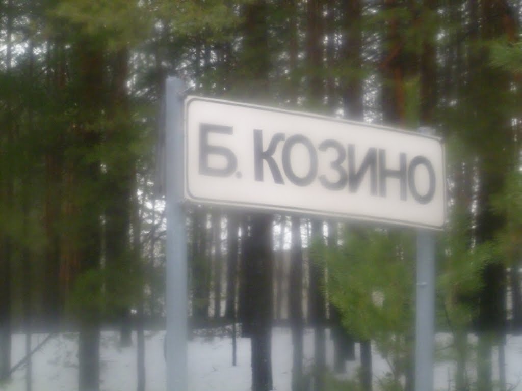 село, Большое Козино