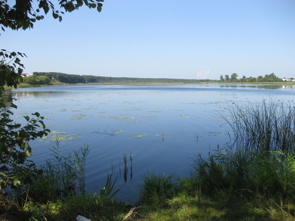 Козино. Взгляд с высоты Ярослав Гунин Дзен
