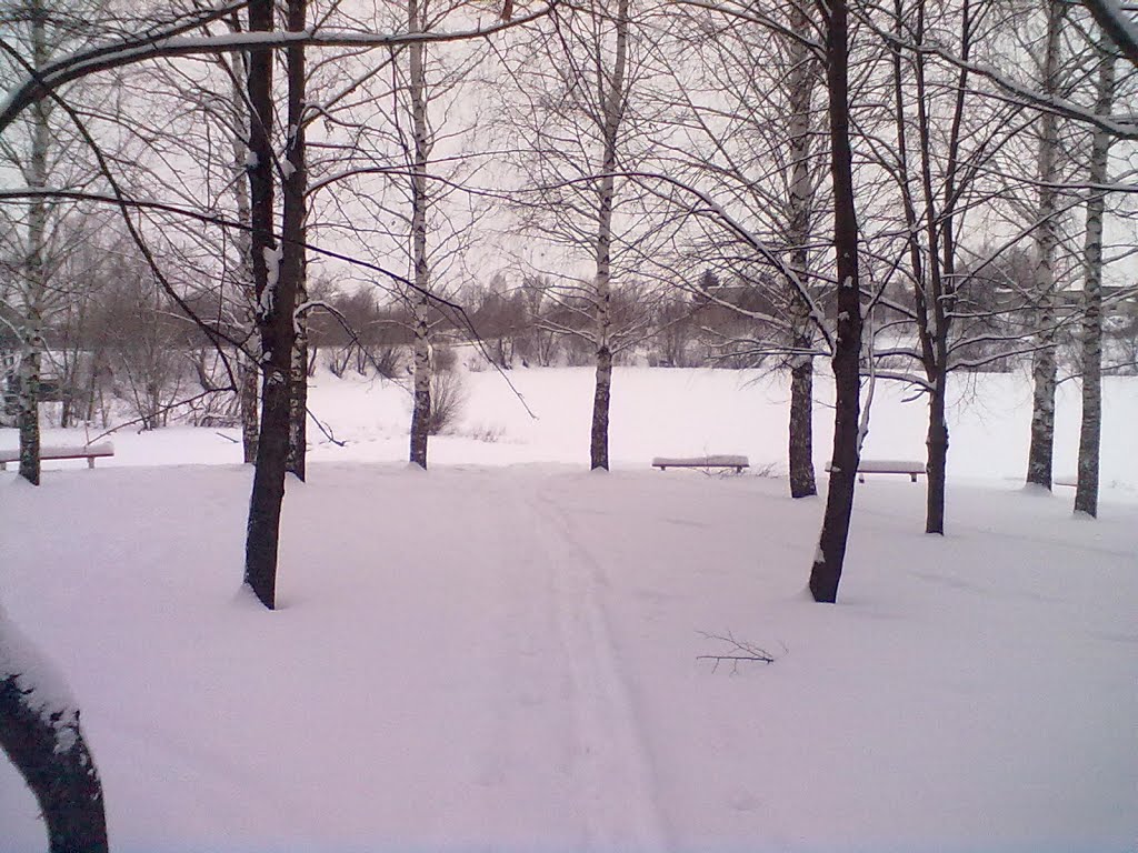 Лыжня в Парке Победы, Большое Мурашкино