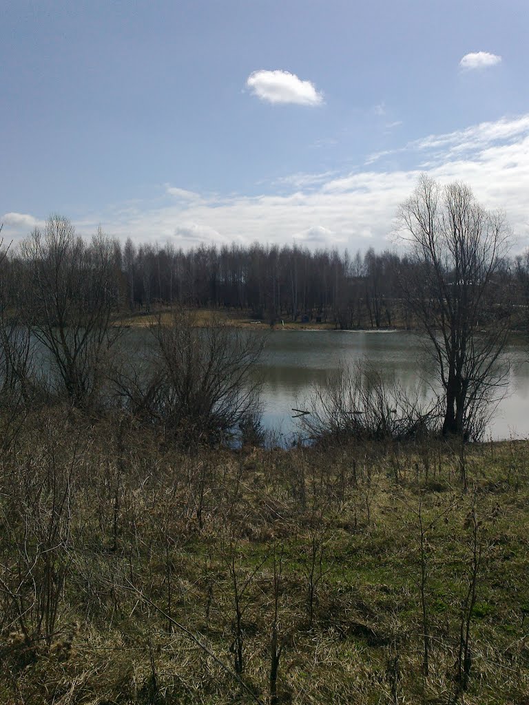 Озеро, Большое Мурашкино