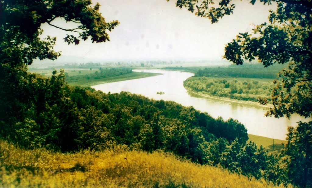 Река Сура с Шишкина мыса (старое фото), Васильсурск
