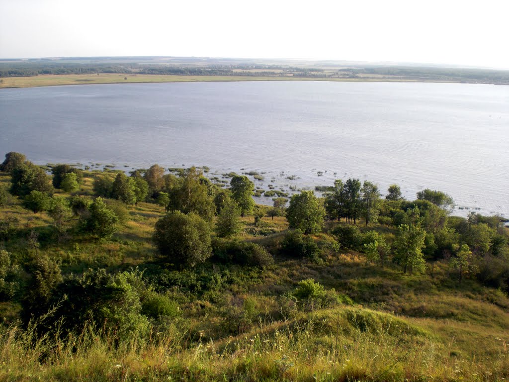 Сура у устья, Васильсурск