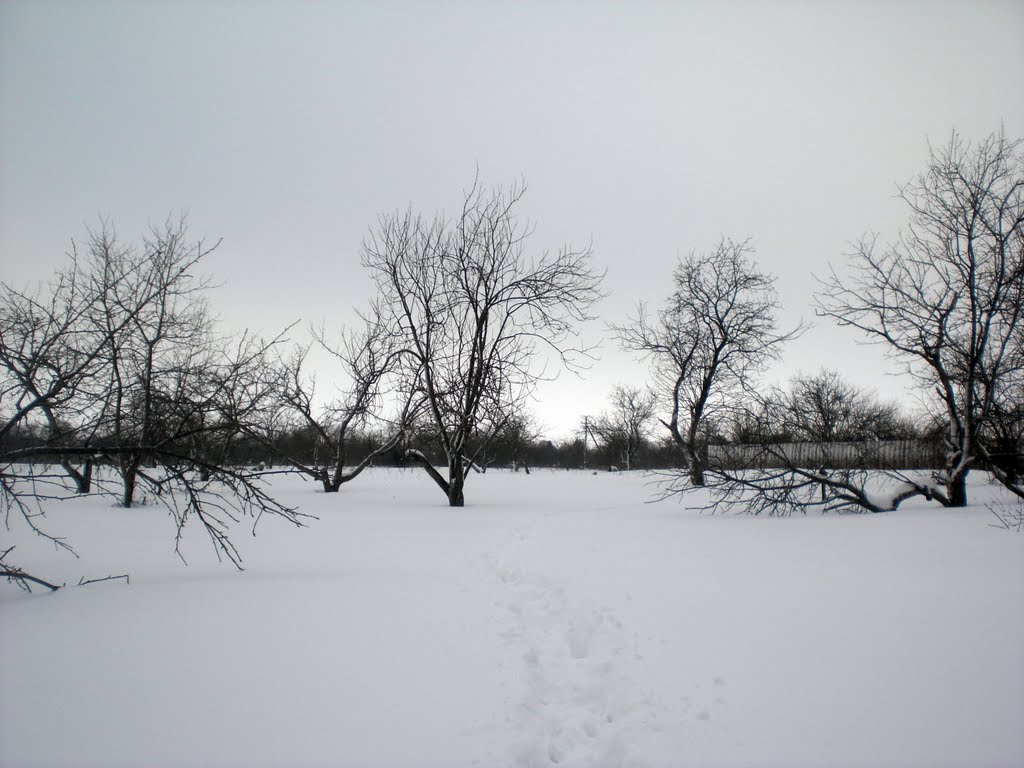 Колхозный сад зимой, Васильсурск