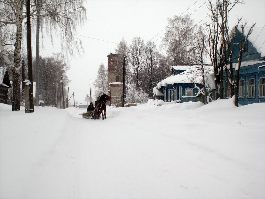 Лошадь с санями, Васильсурск