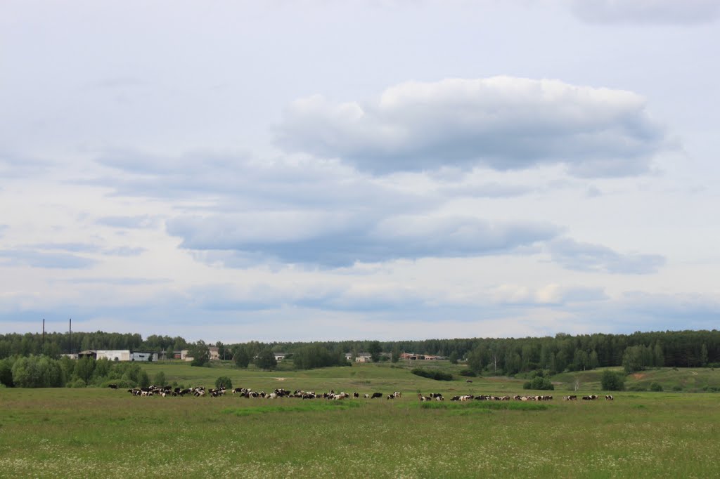 on the meadow, Выездное