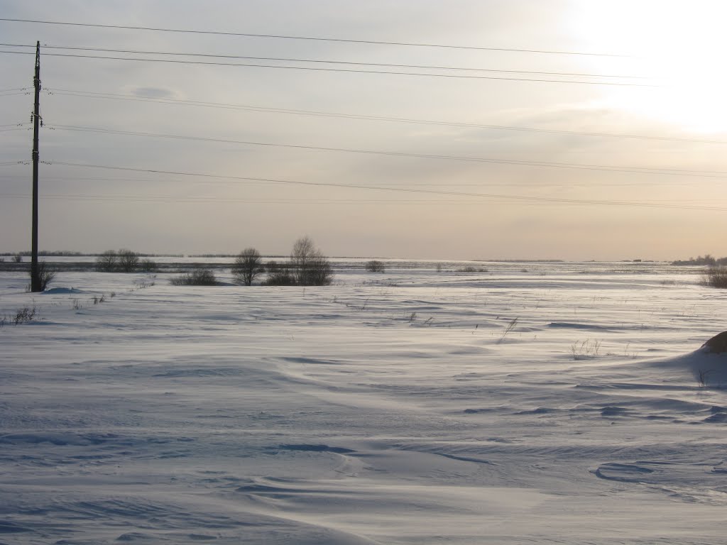 snowy field, Выездное