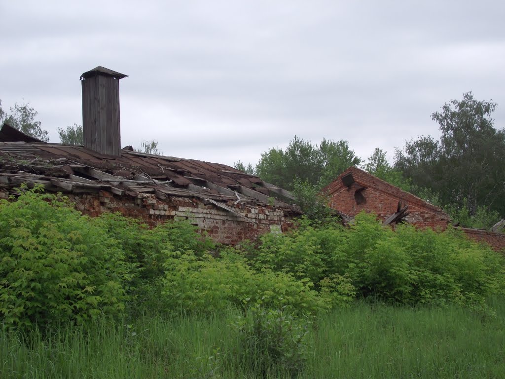 Руины старого чугунолитейного завода, Выкса