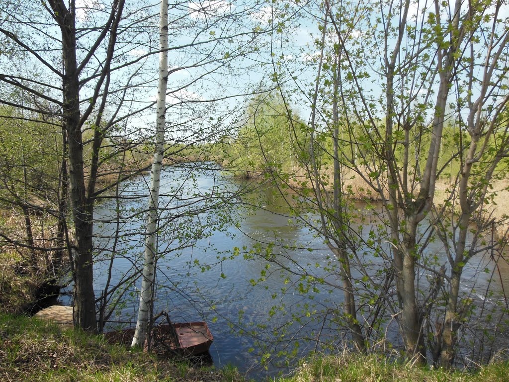тёплая речка весной, Гидроторф