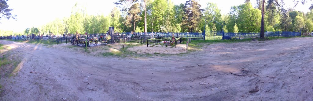 кладбище (16.05.2014), Горбатовка