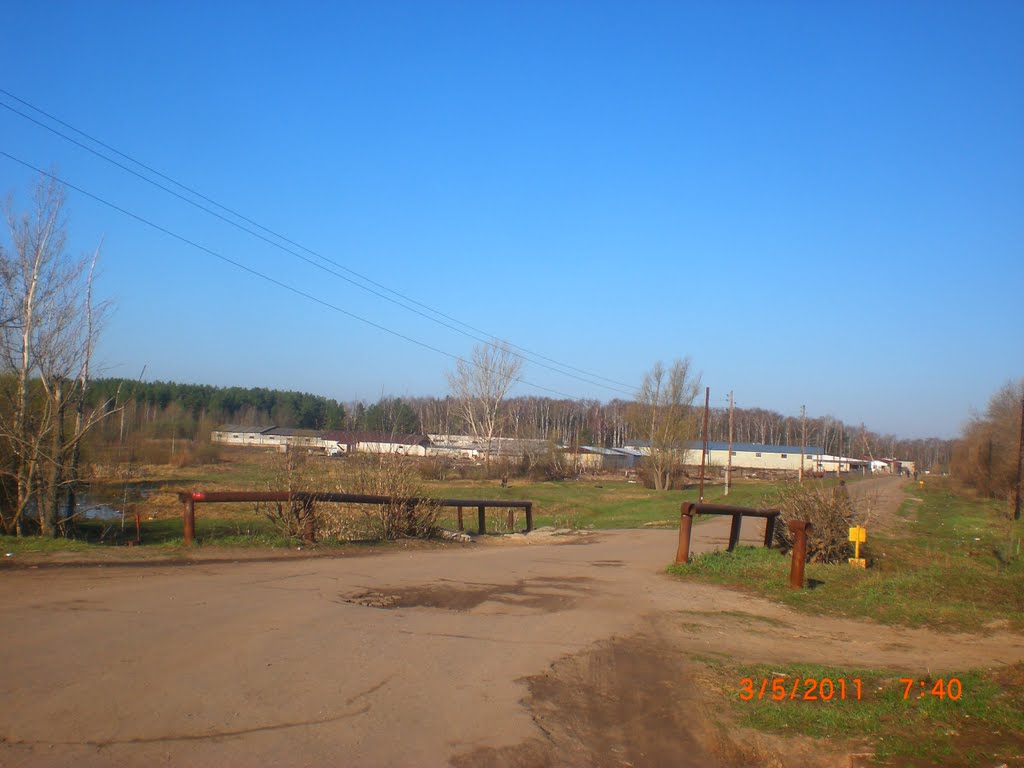 Мост (03.05.2011), Горбатовка