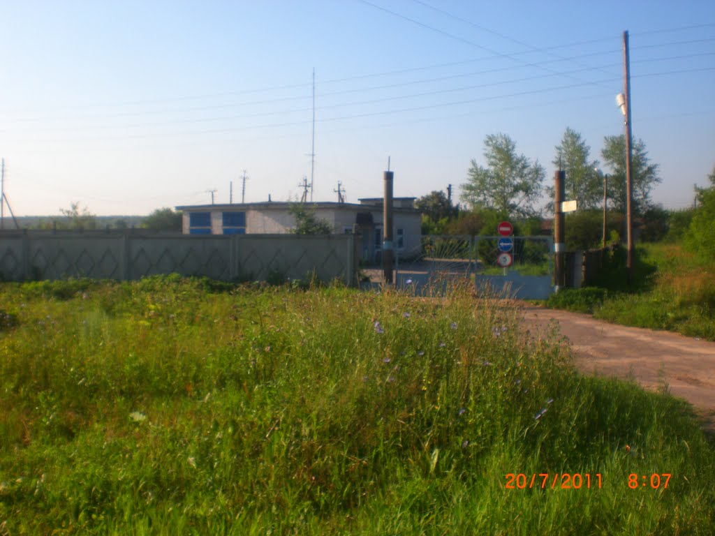 ворота (20.07.2011), Горбатовка
