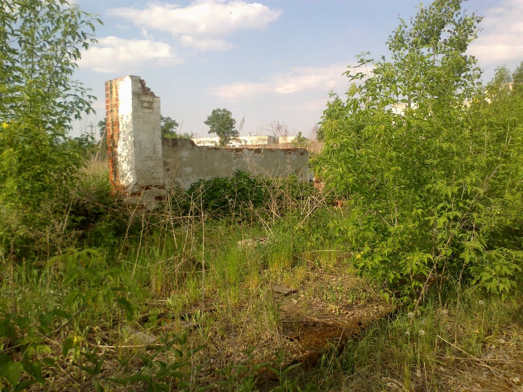 руины (22.05.2012), Горбатовка