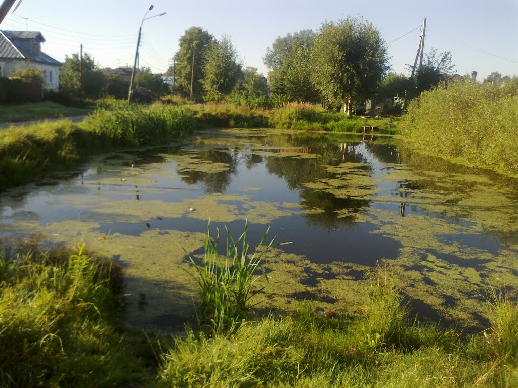пруд (17.08.2013), Горбатовка
