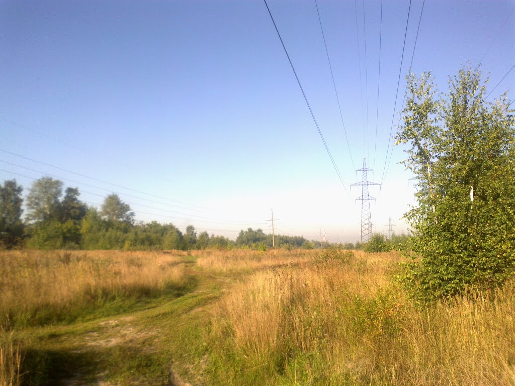 поле (17.08.2013), Горбатовка