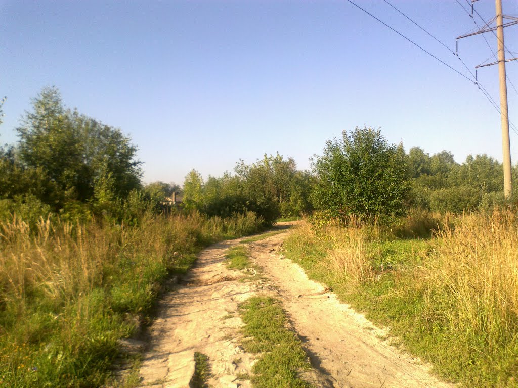 грунтовая дорога (17.08.2013), Горбатовка