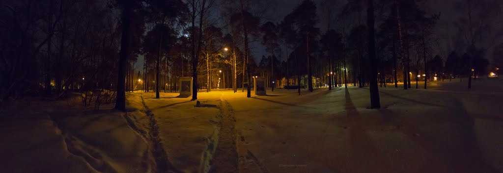 Зимняя ночь в городском парке, Кулебаки