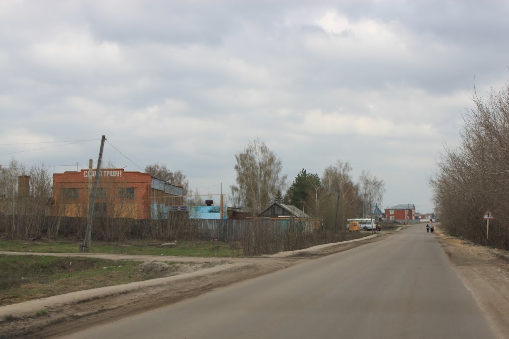 road, Лукоянов