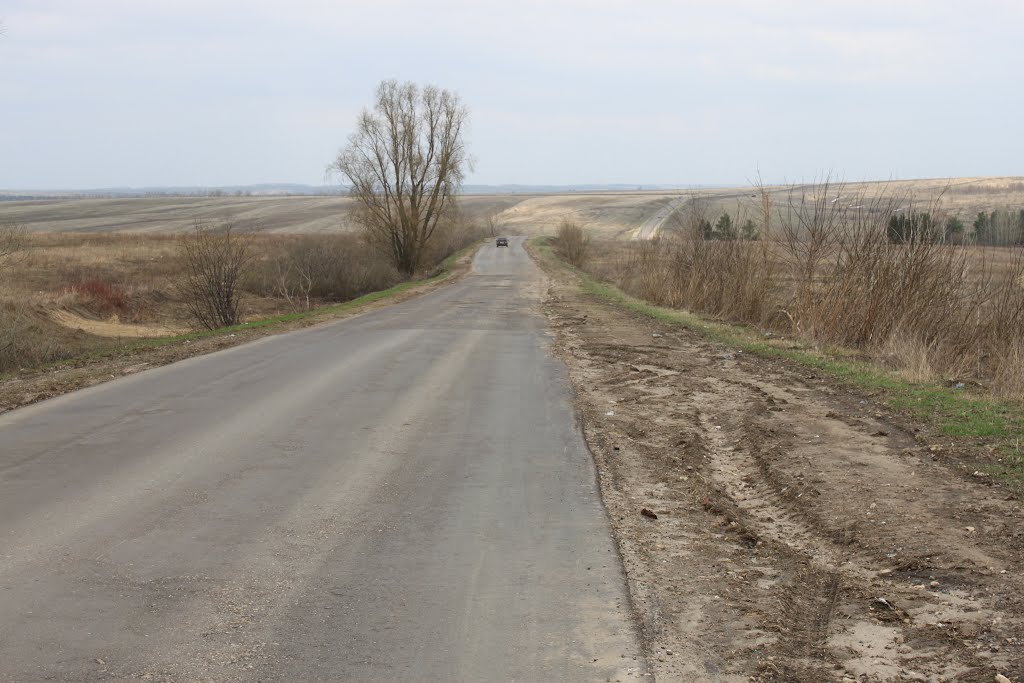 road out of Lukoyanov, Лукоянов