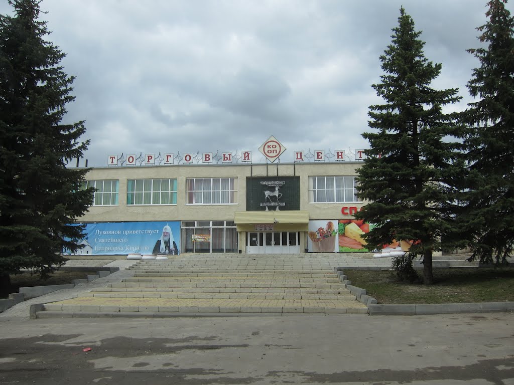 Trade center, Лукоянов