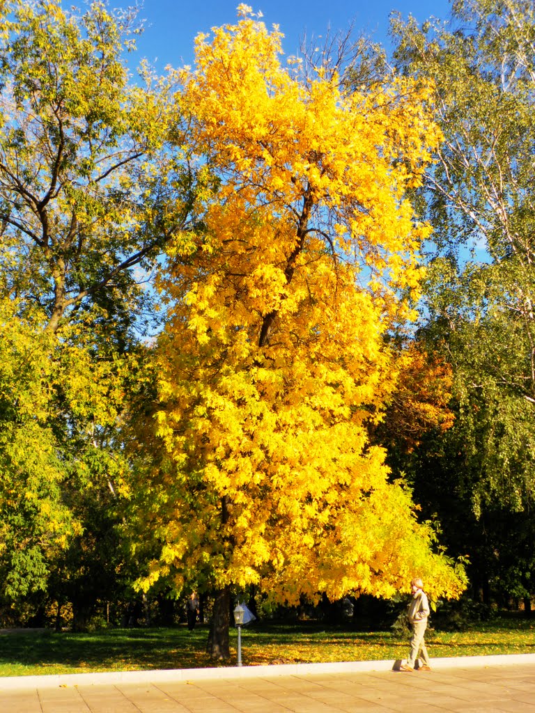Golden Autumn, Нижний Новгород