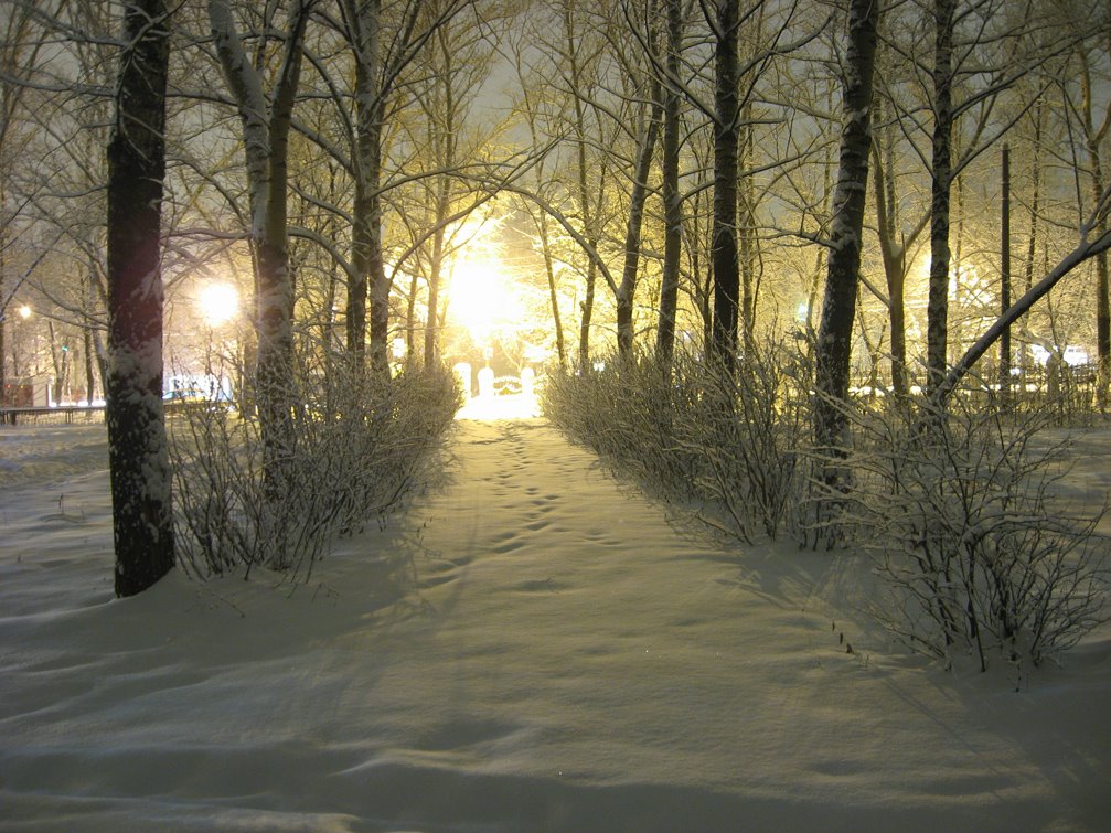 Парк зимой, Павлово