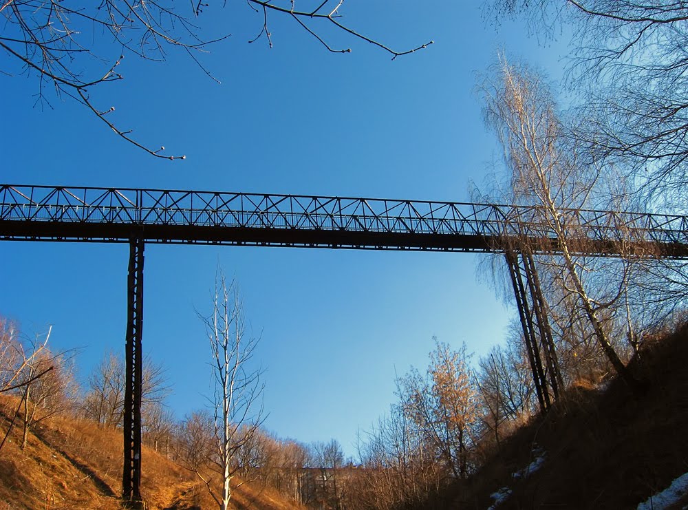 Мост через овраг, Павлово