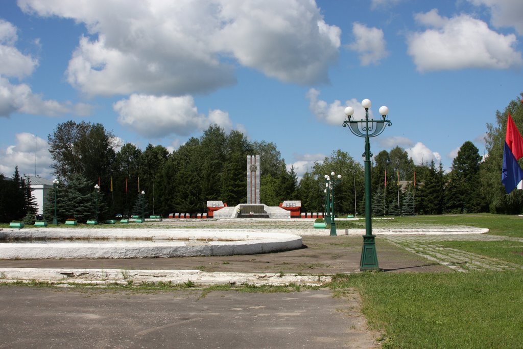 Площадь, 2008 г, Первомайск