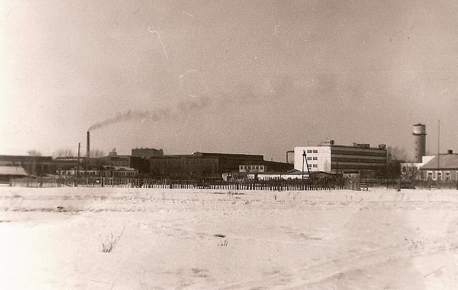 Зимний вид на "Ташин завод"1991, Первомайск