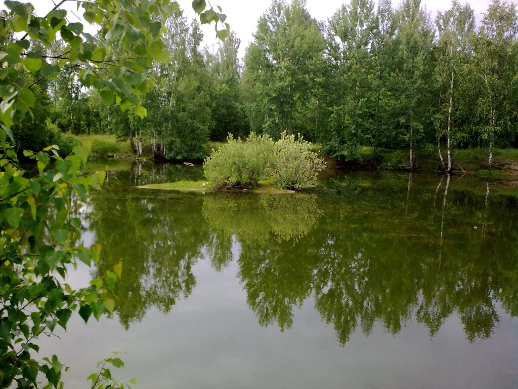 пруд рядом с Первомайском, Первомайск